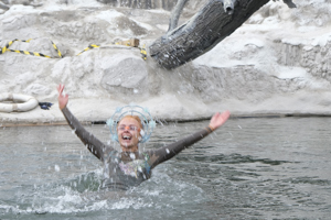 Viva Wasserbalett Ec