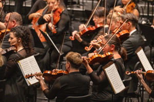 Christian Lins 250817 BF Orchesterkonzert 008