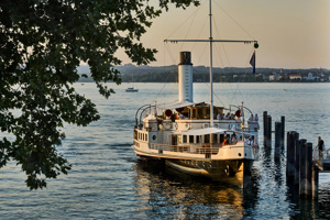 Ambiente Butterfly 220026©Anjakoehler