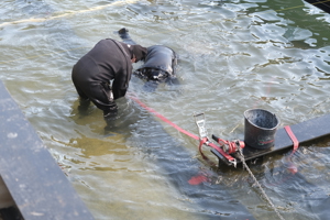 251001 Stahlträger Taucher C Eva Cerv (42)