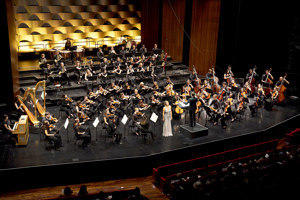 orchesterakademie┬®anjakoehler_240110.jpg