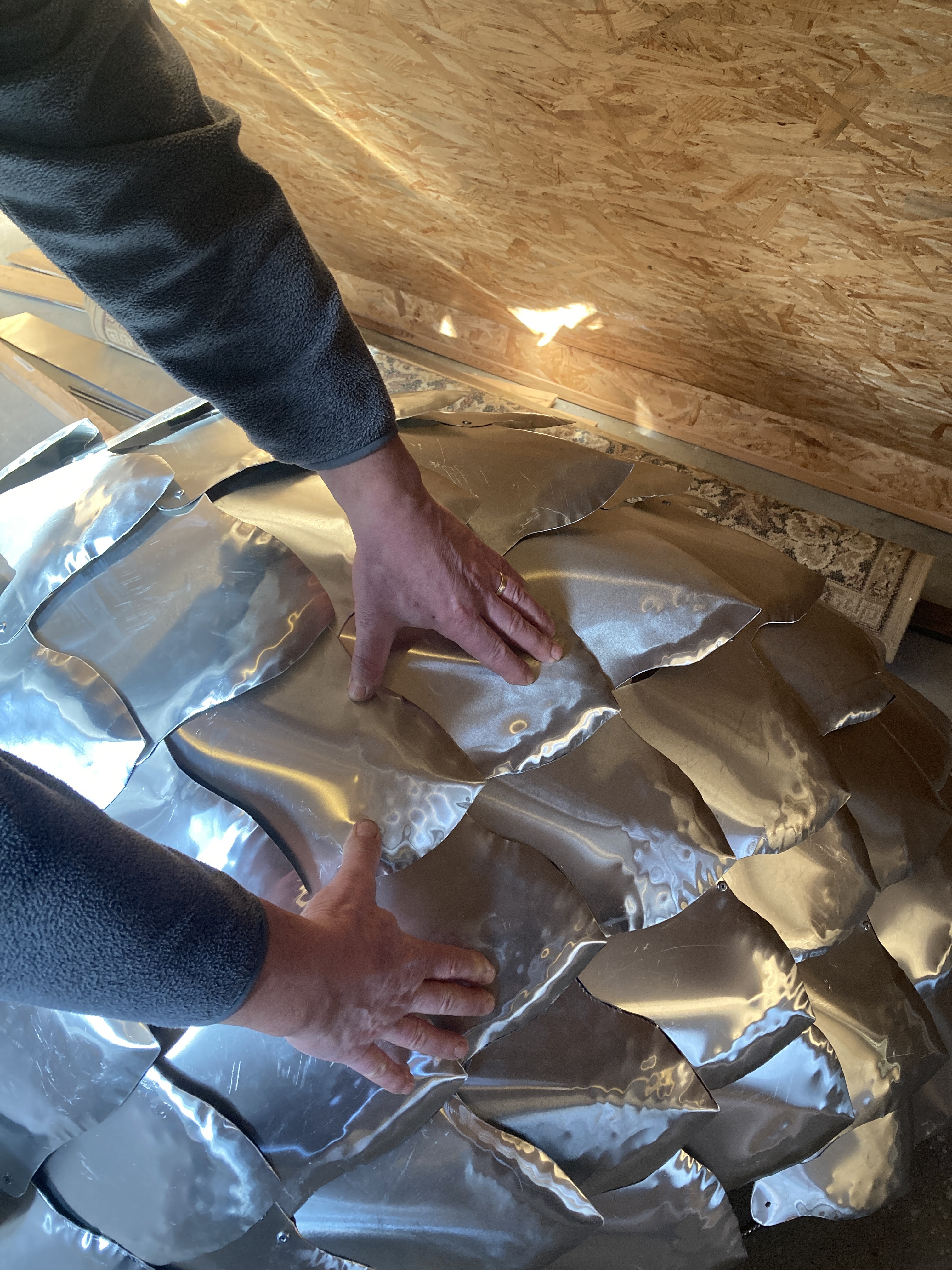 240222 Schlange Hirsche C Fraziska Harm (4)