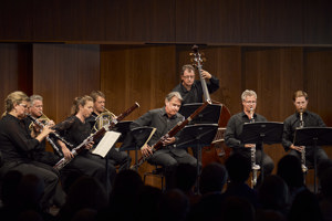 wienersymphoniker2┬®anjakoehler_240033.jpg