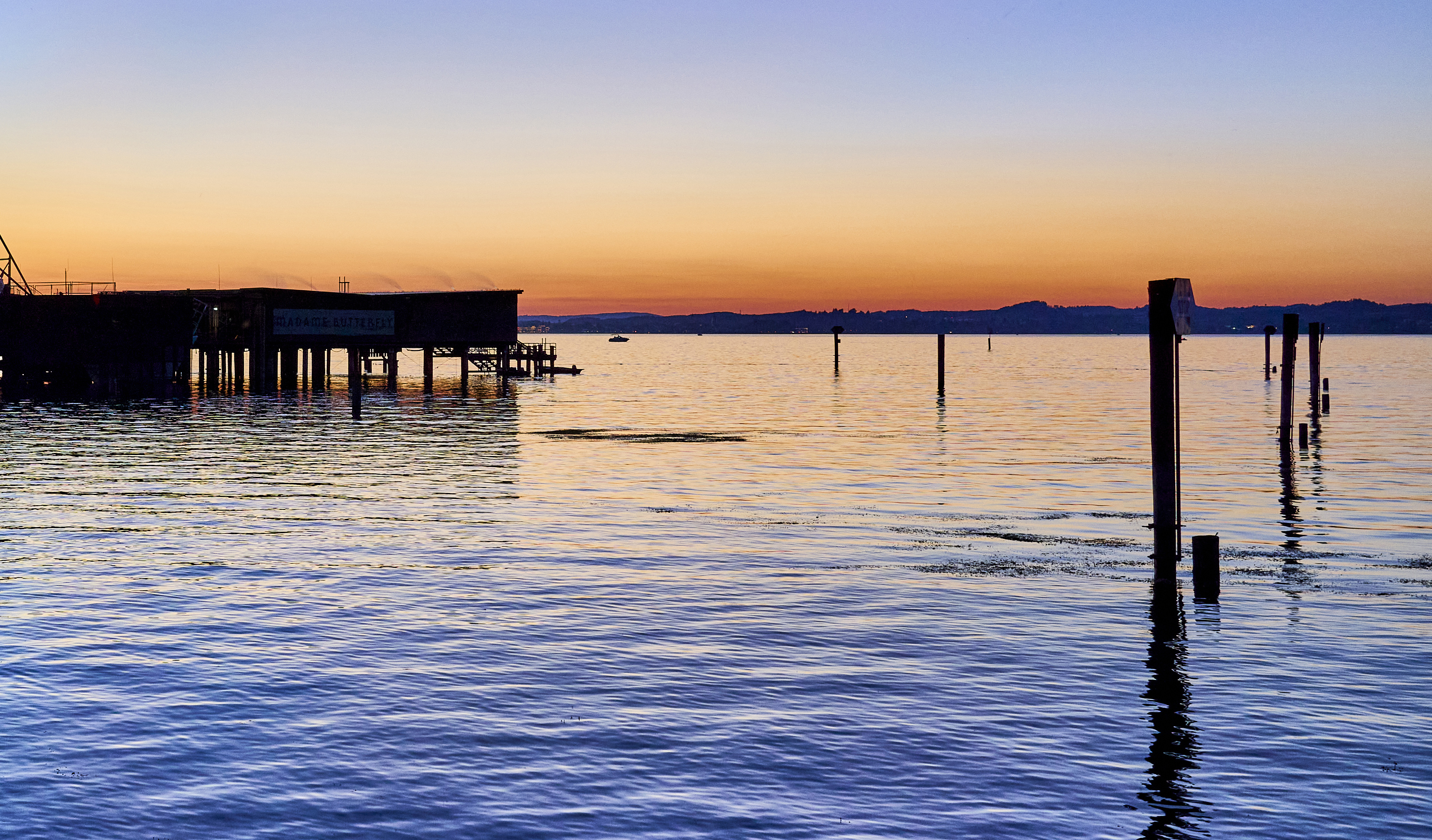 Ambiente Butterfly 220310©Anjakoehler