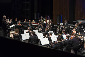 Orchesterkonzert_2015_08_09_025.jpg