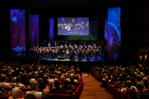 Eröf_9343 (254) Forster.JPG