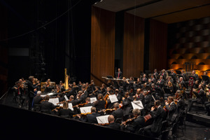 Festspiele_2023_07_30_Orchesterkonzert_099.jpg