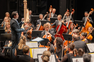 Christian Lins 250817 BF Orchesterkonzert 042