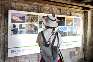 20260621 Ausstellungen 030