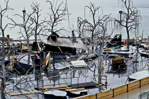 Montage Dach Agathes Haus