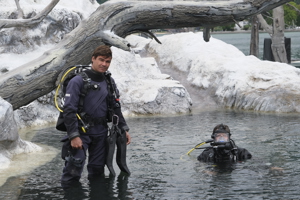 250708 Taucher (C) Eva Cerv 05