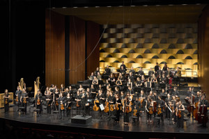orchesterakademie┬®anjakoehler_240145.jpg