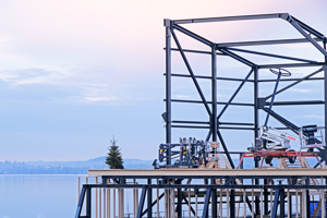 Christbaum251010 Flap Baum C Eva Cerv (121) Mitlichtern