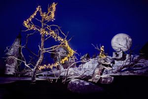 Xmas Freischuetz┬®Anjakoehler 240018