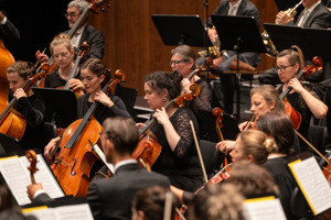 Christian Lins 250817 BF Orchesterkonzert 043