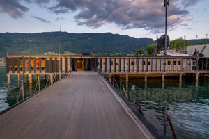 Christian Lins 250711 BF Backstage 005