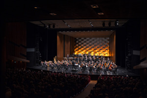 Festspiele_2023_07_30_Orchesterkonzert_219.jpg