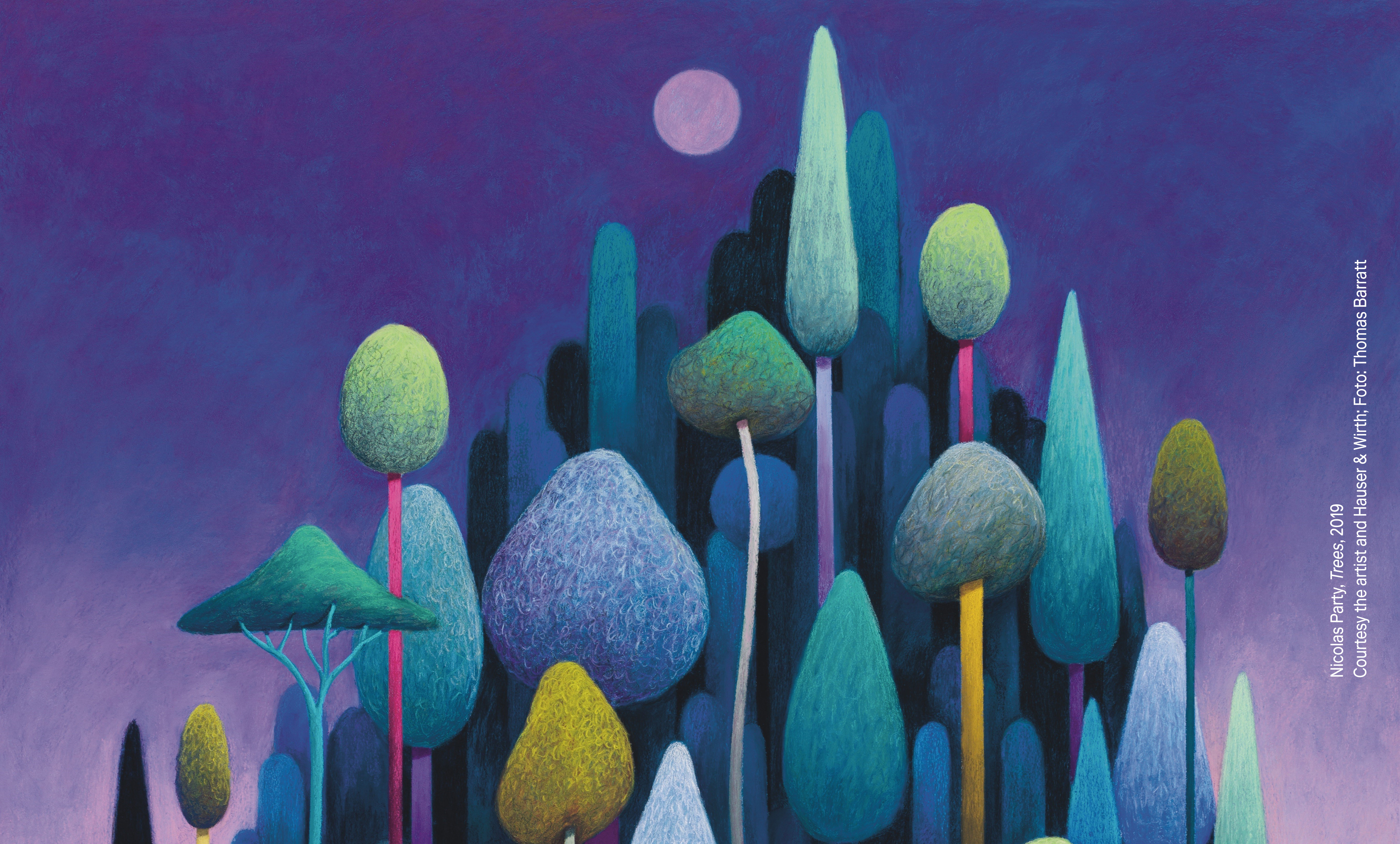 NPS 185 Crop PSO Uncoated (3)