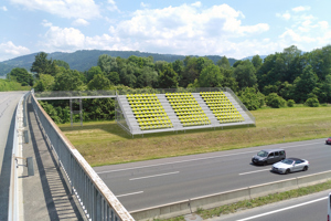 Fotomontage (c) Gerold Strehle.jpg