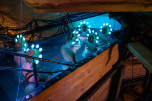 Christian Lins 250711 BF Backstage 068