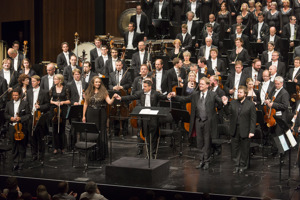 Orchesterkonzert_28.7.14_168.jpg