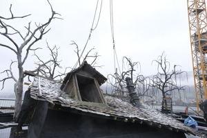 Montage Dach Agathes Haus (1)